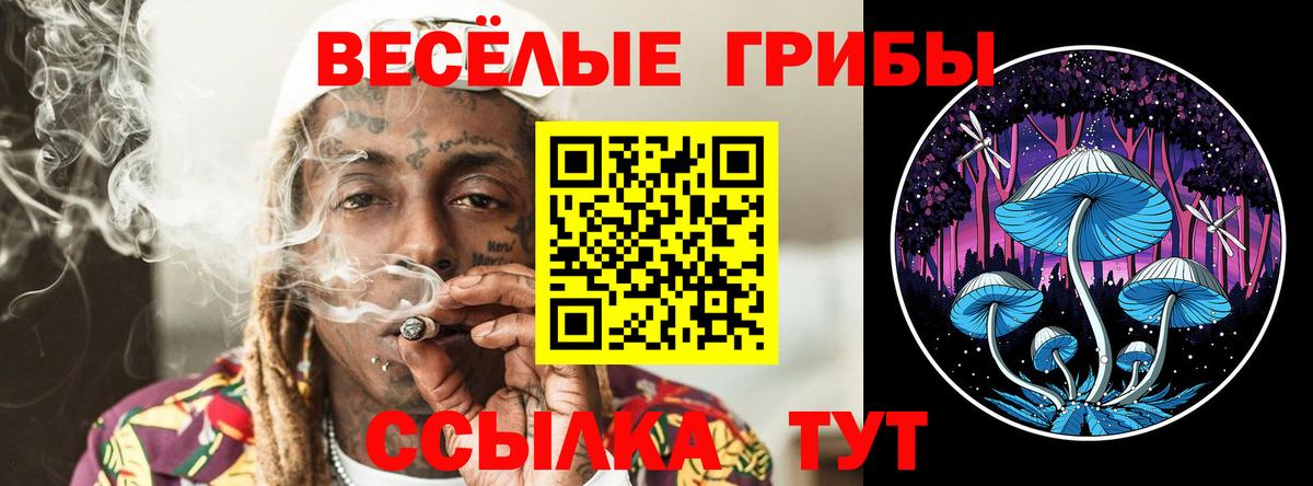 Новотроицк  Галлюциногенные грибы Psilocybe  Псилоцибиновые грибы Cubensis  Вход с VPN 
